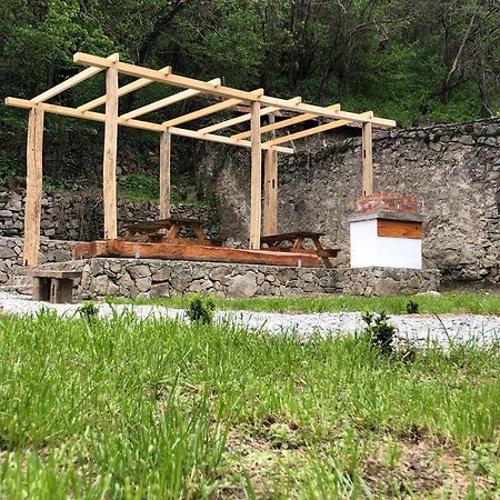 Sasca 362 Ap2 Villa Szászkabánya Kültér fotó
